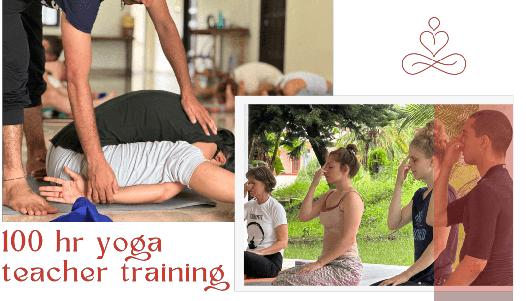 100 Hour Yoga Teacher Training Course